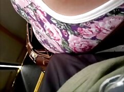 Dulce señora folland ...
