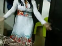Perrito en el señora ...